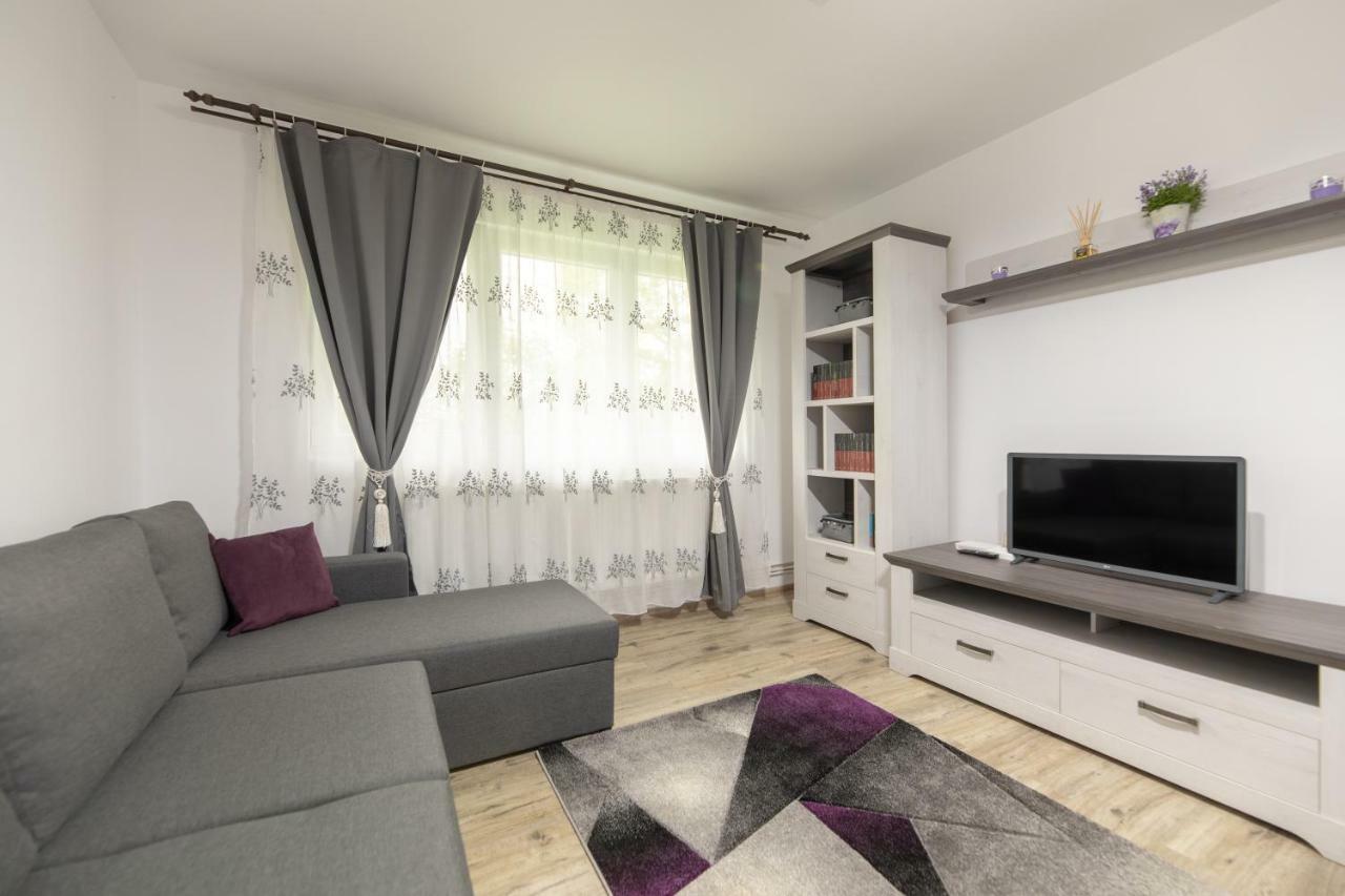 Appartement Apartament Ada à Sibiu Extérieur photo